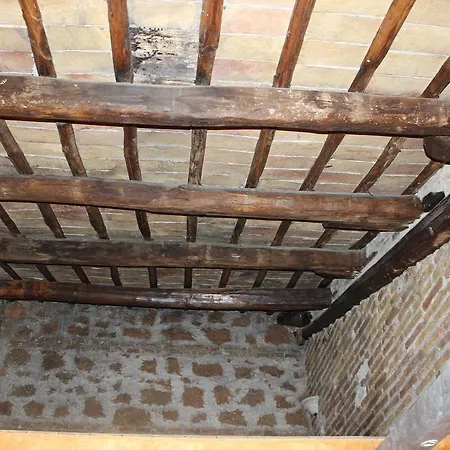 Pensión Domus Roma
