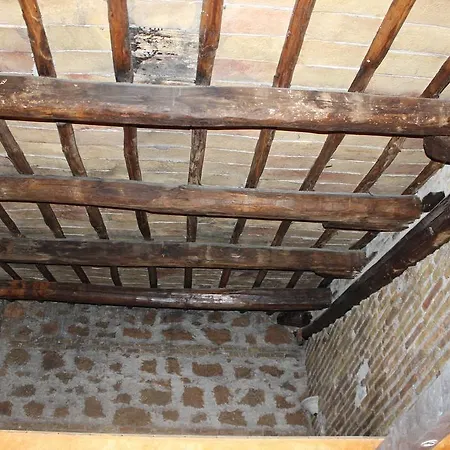 Gasthof Domus Rom